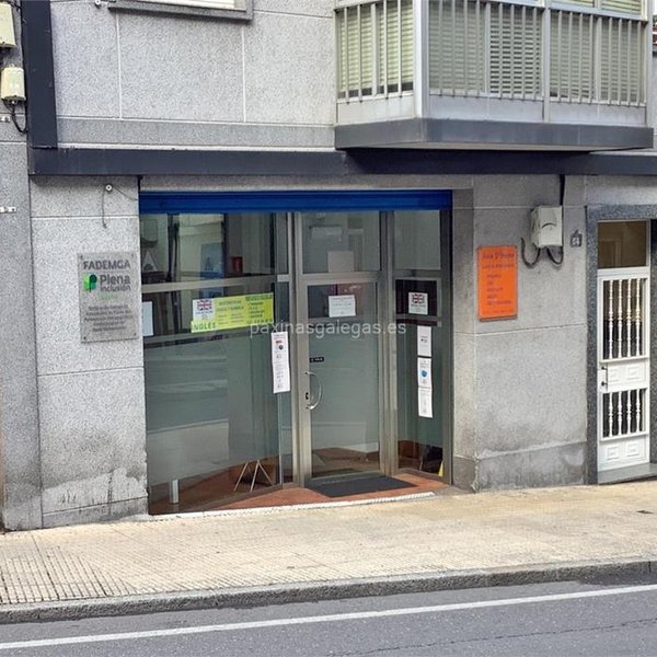 imagen de FADEMGA plena inclusión Galicia Ourense